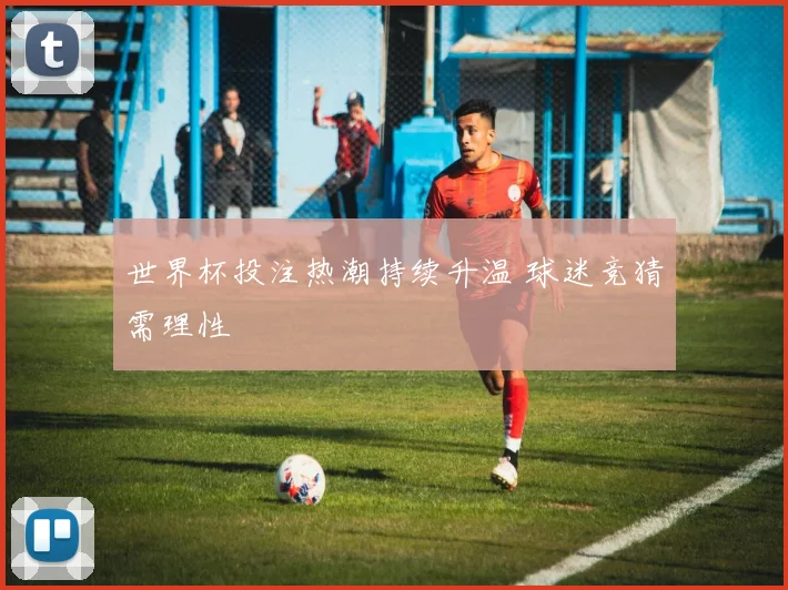 世界杯投注热潮持续升温 球迷竞猜需理性