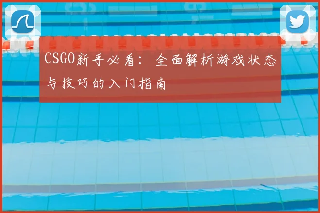CSGO新手必看：全面解析游戏状态与技巧的入门指南