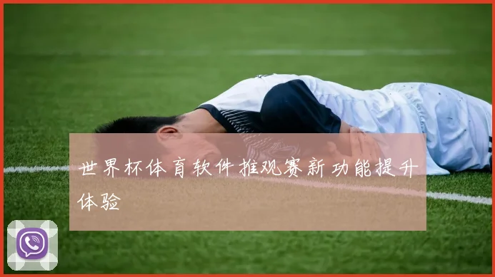 世界杯体育软件推观赛新功能提升体验