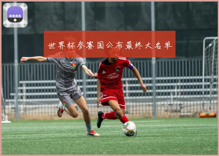 世界杯参赛国公布最终大名单