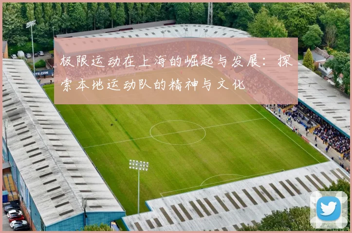 极限运动在上海的崛起与发展：探索本地运动队的精神与文化