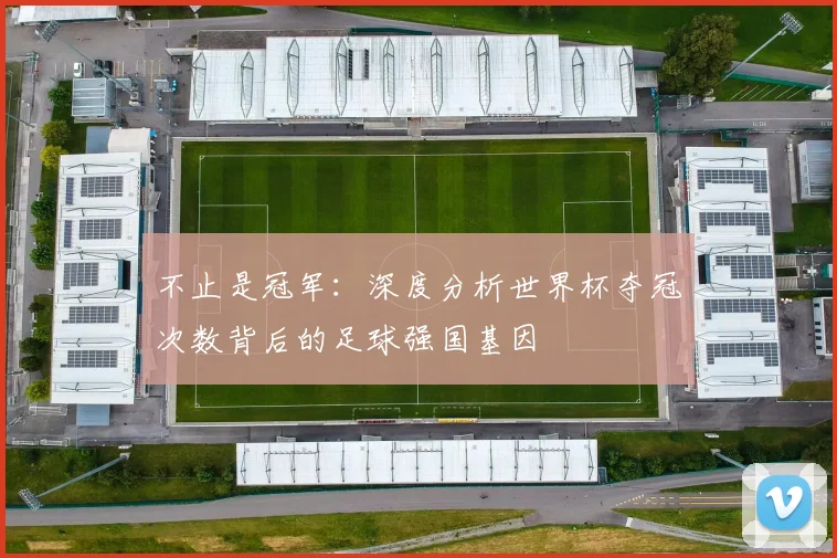 不止是冠军:深度分析世界杯夺冠次数背后的足球强国基因