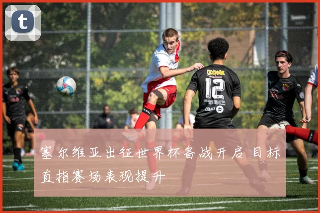 塞尔维亚出征世界杯备战开启 目标直指赛场表现提升