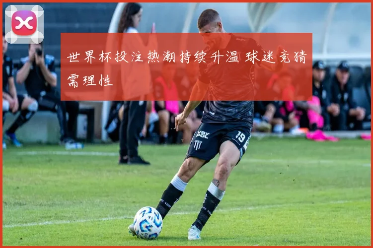世界杯投注热潮持续升温 球迷竞猜需理性