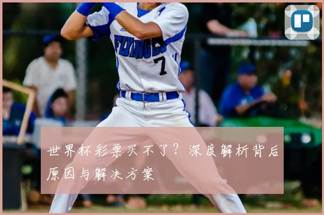 世界杯彩票买不了？深度解析背后原因与解决方案