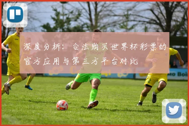 深度分析：合法购买世界杯彩票的官方应用与第三方平台对比