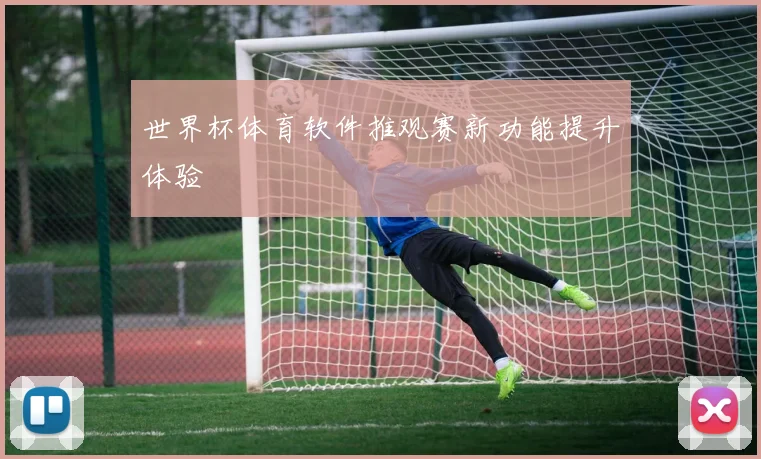 世界杯体育软件推观赛新功能提升体验